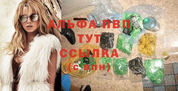стафф Коряжма