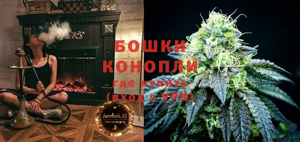 стафф Коряжма