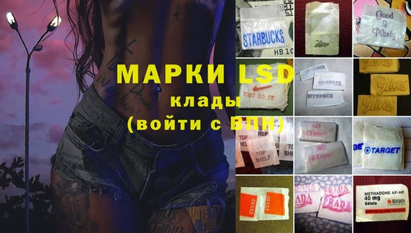 стафф Коряжма