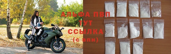 стафф Коряжма