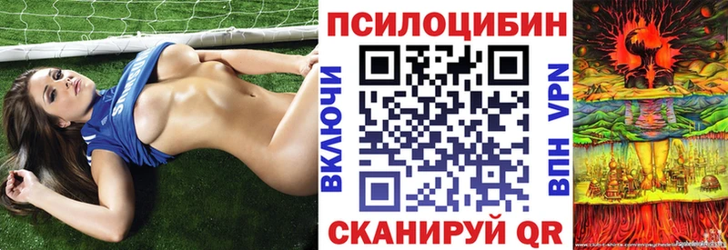 Псилоцибиновые грибы прущие грибы  Купить закладки  Ветлуга 