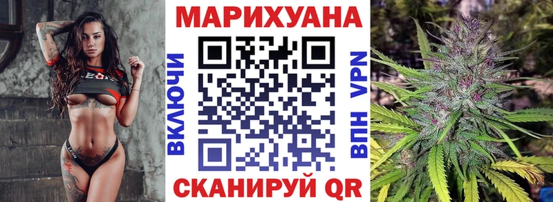 Купить где  Ветлуга  Шишки марихуана сатива 